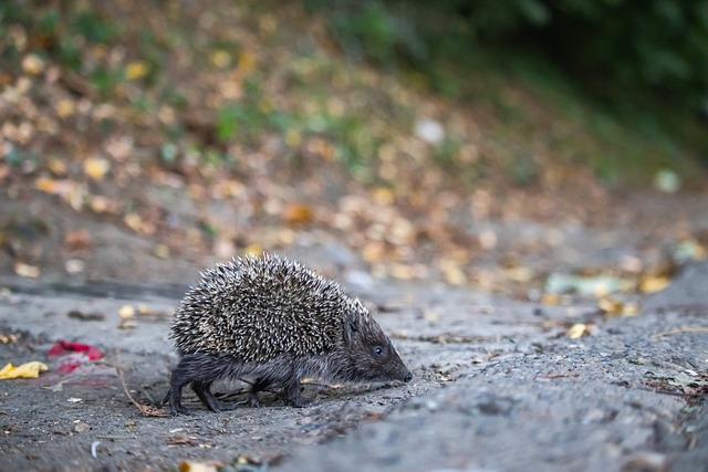 阶段就遗憾 阶段就遗憾