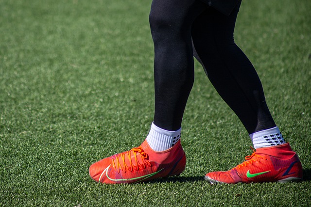 部松鸡的活 部松鸡的活