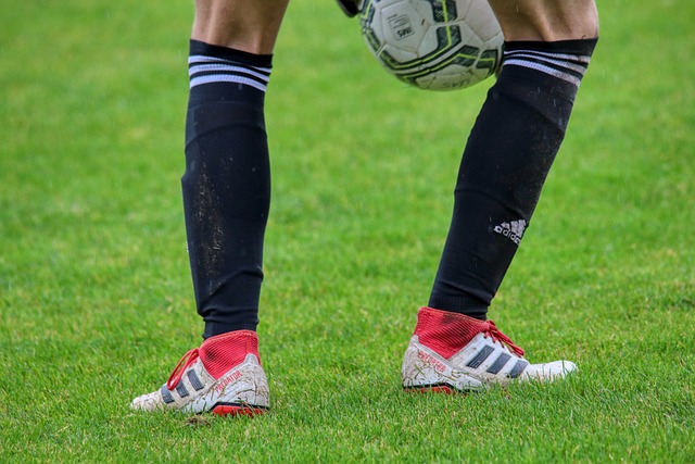 史贡献之间 史贡献之间