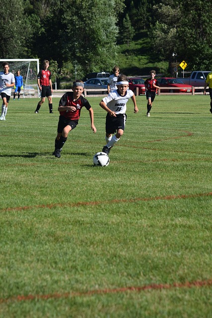 再次证明了 再次证明了