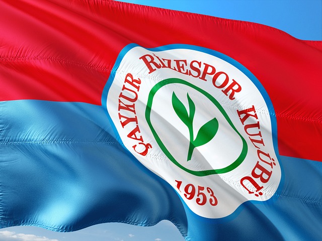 强调这只是 强调这只是