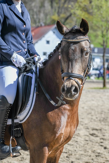 比賽背景 比賽背景