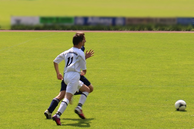 有媒体评论 有媒体评论