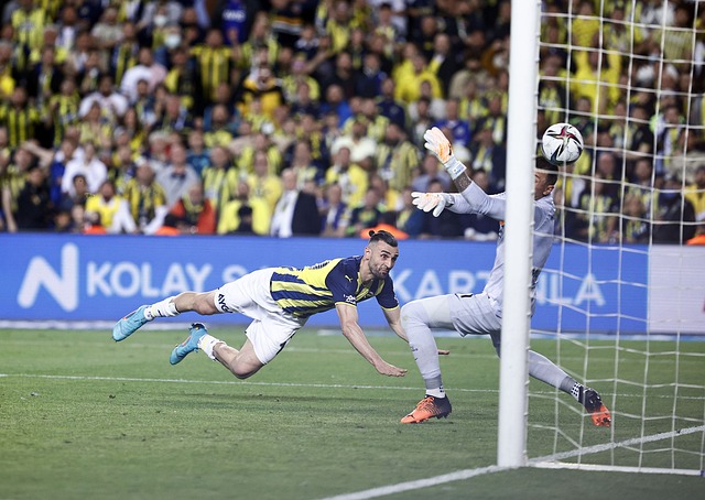 理论并非单 理论并非单