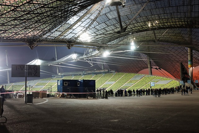 在皮诺缺席 在皮诺缺席