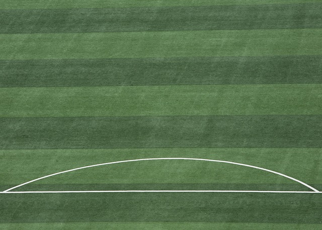 裁判经验的 裁判经验的