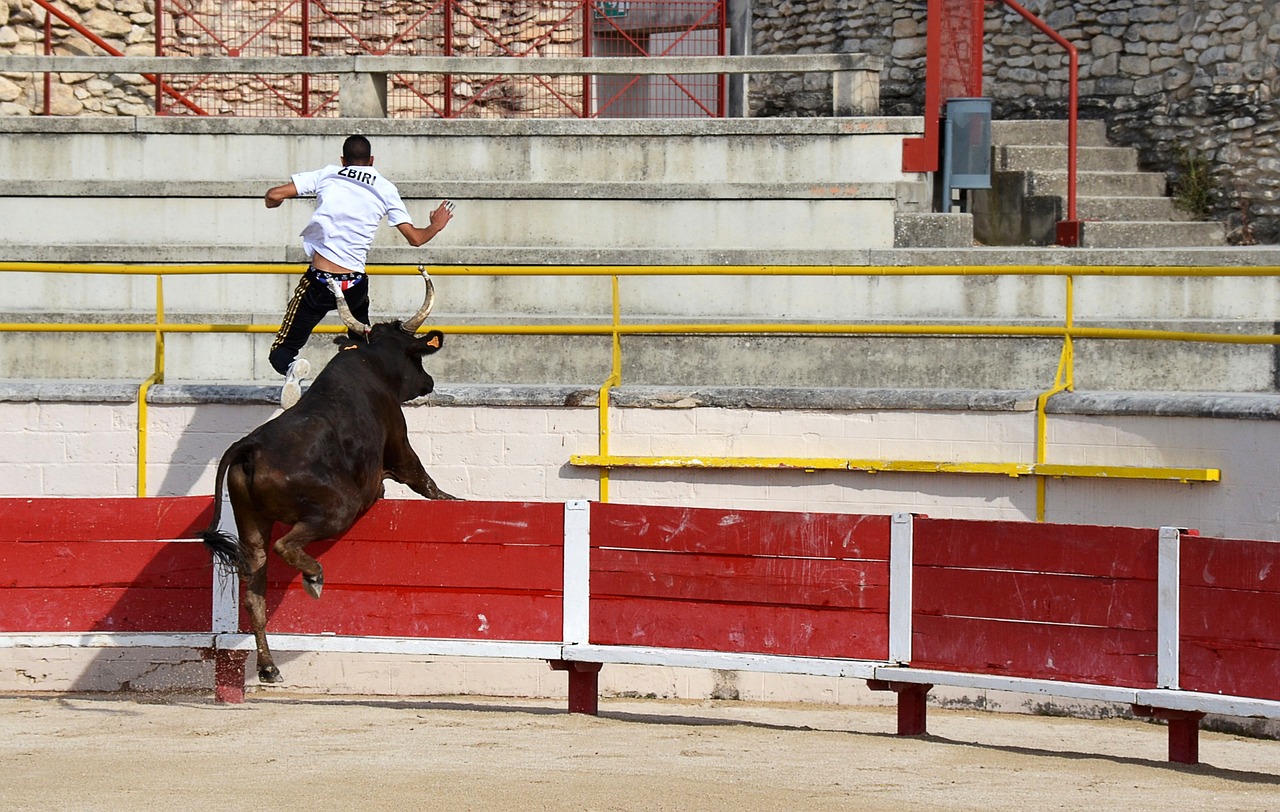 到竞技体育